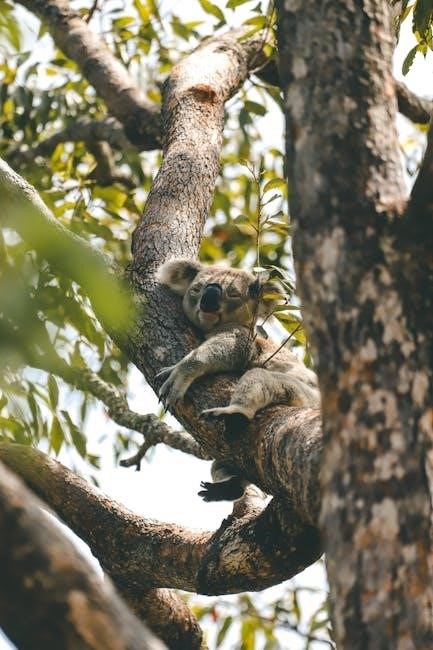 tree disease identification guide australia