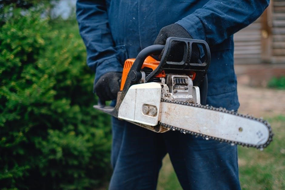 chainsaw sharpener manual chainsaw sharpener manual