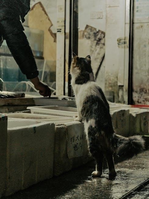 the four agreements free pdf